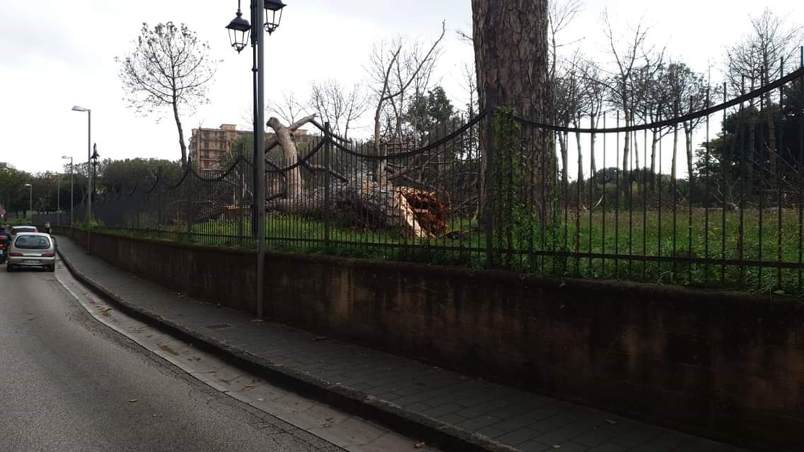 Il Parco Pozzi dopo la tempesta