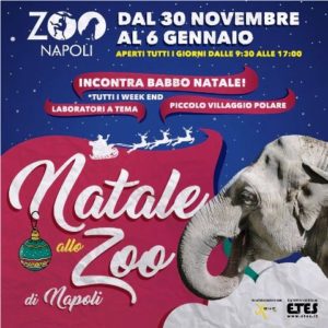 zoo di napoli.natale