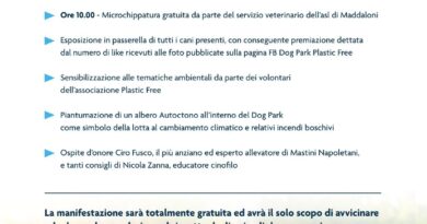 Microchip gratuita e gara canina al dog park. Evento gratuito aperto a tutti