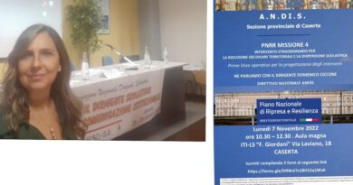 Fondi Pnrr Per districarci nella programmazione dei progetti ne parliamo con l’Andis Associazione Dirigenti Scolastici .