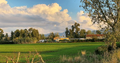 Antropologia in cucina a Sessa Aurunca/ Cooperativa Al di là dei sogni, Niso Tommolillo: «Attraverso il cibo mettiamo in relazione culture diverse. Valorizzando anche gli scarti» By  Daniele Maffione