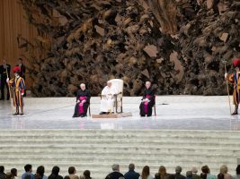 Pope at audience: “Evangelizing is not the same as proselytizing”