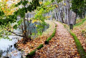 Turismo, record di visite per il Parco del Grassano con campagne di marketing della Remote Studios