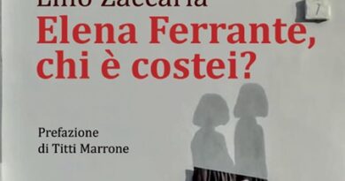 Elena Ferrante, chi è costei?