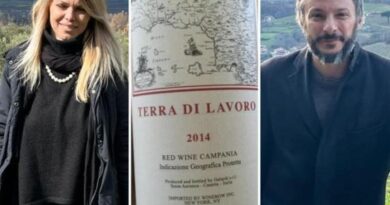 Vino, il «Terra di Lavoro» entra nel gruppo Capaldo di Gimmo Cuomo