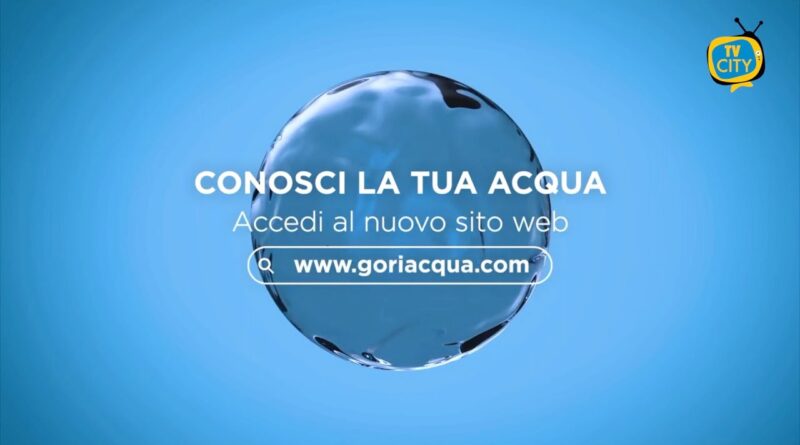 Il nuovo sito GORI