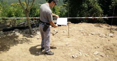 Roccamonfina (CE) – Taglia alberi radicati in area a vincolo paesaggistico. Denunciato e sanzionato dai Carabinieri della Stazione Forestale