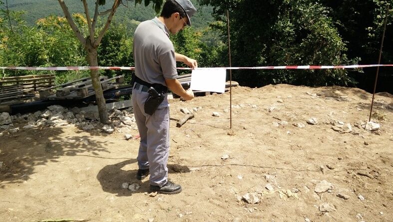 Roccamonfina (CE) – Taglia alberi radicati in area a vincolo paesaggistico. Denunciato e sanzionato dai Carabinieri della Stazione Forestale