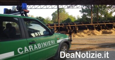 Sequestrato autocarro per trasporto illecito di rifiuti speciali forestali