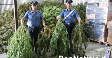 Beccati con piante di marijuana in casa. Denunciati dai Carabinieri