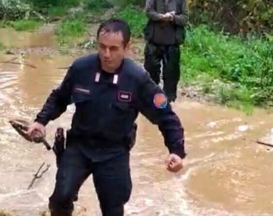 Mondragone (CE) – Sorpreso mentre caccia a ridosso dei palazzi. 40enne bloccato e sanzionato dai Carabinieri del Nucleo Forestale