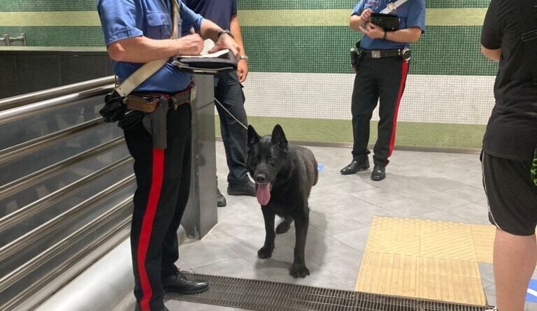 Parete – I Cani “Luna” e “Ave” dei Carabinieri fiutano sostanza stupefacente. 50enne denunciato