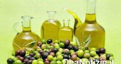 Il vino e l’olio al tempo dei Romani