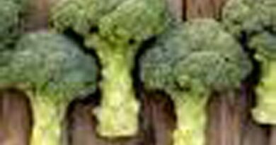 Rischio avvelenamento, richiamati broccoli a rosette surgelati per sospetta presenza di alcaloidi del tropano