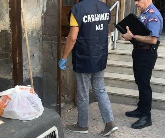 Vitulazio (CE) – Animali detenuti in pessime condizioni e possesso ingiustificato di barbiturici. I Carabinieri denunciano il responsabile di un centro veterinario e sequestrano la struttura