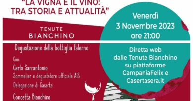 Storia in Transito, II edizione. In diretta web dalle Tenute Bianchino il primo appuntamento dedicato al Falerno Doc con la rubrica “La vigna e il vino”