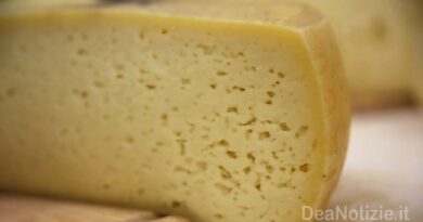 Richiamo per formaggio Castelmagno con escheria coli