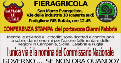 CONFERENZA STAMPA Si tiene oggi 8 marzo 2024 presso il Padiglione Ris Bufala nella Fieragricola in Viale delle Industrie 10 a San Marco Evangelista (Caserta Sud) la Conferenza Stampa indetta dal Coordinamento Unitario in Difesa del Patrimonio Bufalino e della Rete Interregionale Salviamo l’Allevamento di territorio per fare il punto sul percorso di nomina del Commissario Nazionale per la Brucellosi e la TBC nelle Regioni Meridionali ancora non indenni (Sicilia, Campania, Calabria e Puglia).