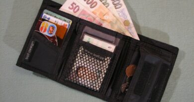 La Campania per le famiglie e la natalità. Attiva la piattaforma per il rilascio dei voucher