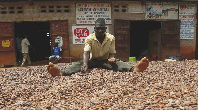 Contadini africani, operai belgi e altre storie legate al caro-cacao