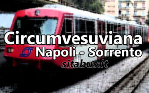 Lo sfogo di Agostino Ingenito, Presidente Abbac, per l’ ennesimo guasto di un treno della Circumvesuviana sulla linea Napoli Sorrento/