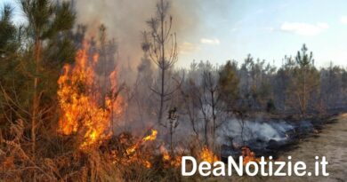 Incendi boschivi, dal 15 giugno periodo grave pericolosità. Ecco i divieti e le misure da rispettare