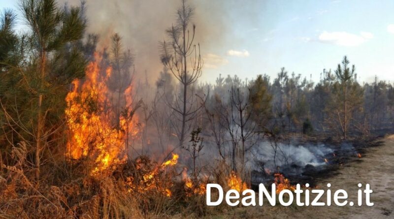 Incendi boschivi, dal 15 giugno periodo grave pericolosità. Ecco i divieti e le misure da rispettare