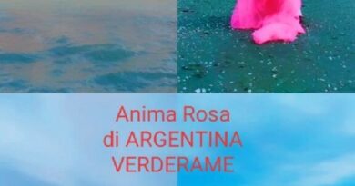 Venezia – “Anima Rosa” di Argentina Verderame a Palazzo Bembo