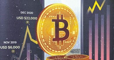 Le criptovalute ingolosiscono: da noi raddoppia il numero di chi le possiede