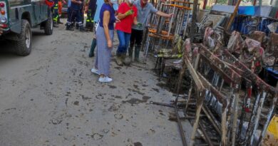 FOTO. Preside, personale scolastico e famiglie al lavoro per recuperare le suppellettili dopo l’alluvione