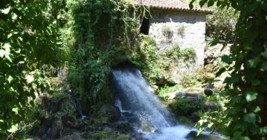 Oasi naturalistica WWF del Bussento