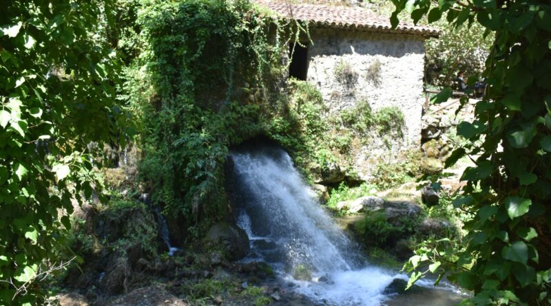 Oasi naturalistica WWF del Bussento