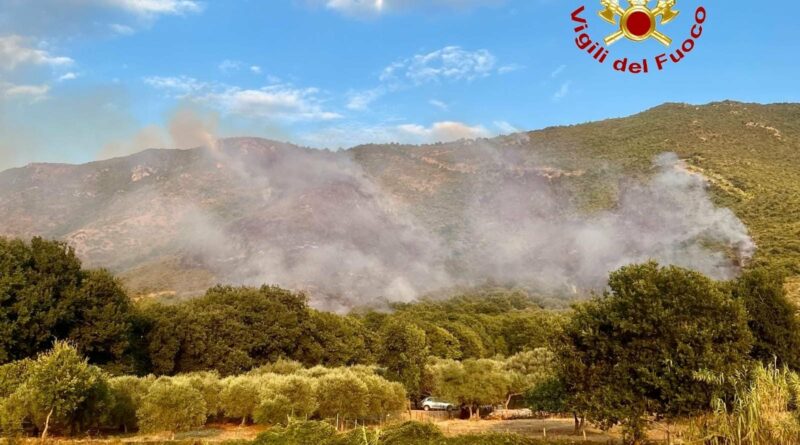 Vigili del fuoco impegnati senza sosta per spegnere gli incendi nel casertano. 42 ettari di bosco in fumo