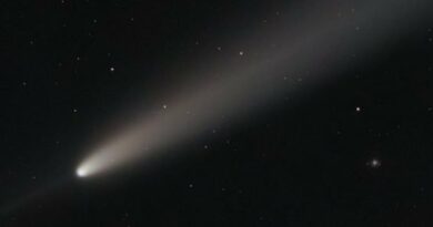 Foto esclusive della cometa C2023/A3 catturate da Francesco Ianniello