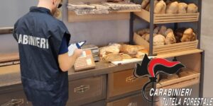 I CARABINIERI FORESTALI HANNO SEQUESTRATO PARTITE DI PANE / IN DIVERSI PUNTI VENDITA IN CUI ERA COMMERCIALIZZATO ALLO STATO SFUSO