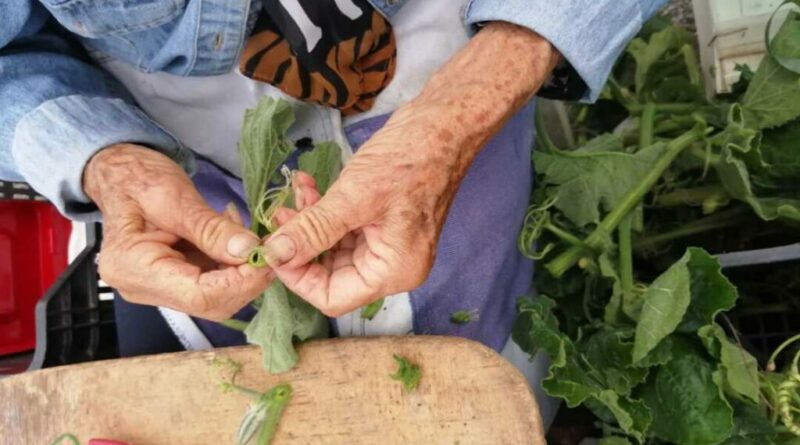 Minestra “strenta” di zucchine