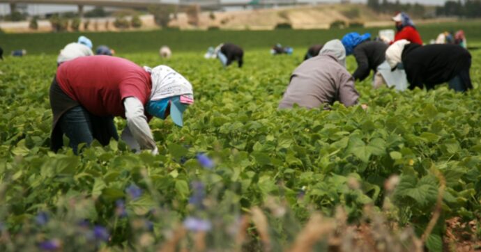 “Documenti falsi per far entrare illegalmente migranti in Italia”: 13 arresti nel Salernitano