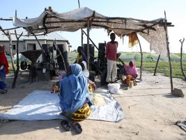 Nigeria. Porte Aperte/Open Doors: “Discriminazione sistematica contro i cristiani in fuga dagli estremisti di Boko Haram”