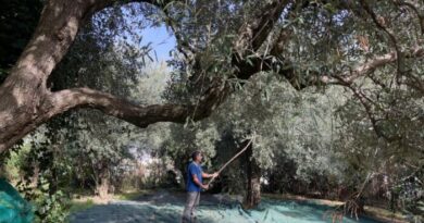 Pùmpaiia, dal passato al presente