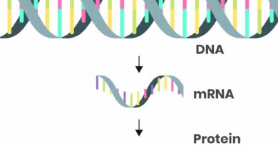 RNA MESSAGGERO: UNA SOLUZIONE CHE NASCE DA DENTRO