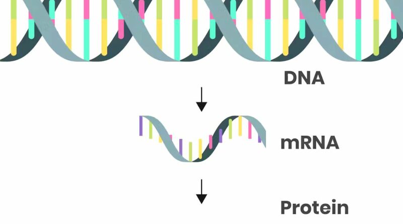 RNA MESSAGGERO: UNA SOLUZIONE CHE NASCE DA DENTRO