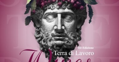 “TERRA DI LAVORO WINES”: si accendono i motori per la terza edizione alla Reggia di Caserta con il Consorzio Vitica