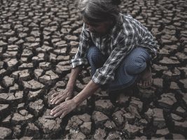 Cop29, fermare in tempo la “guerra” contro i cambiamenti climatici