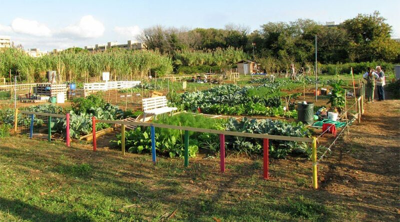 Marcianise. Orti urbani, è stato approvato il regolamento.